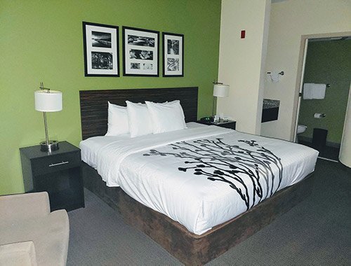 Sleep-Inn-Scottsdale-Guest-Room-King